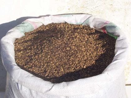 OLIVE CAKE 3