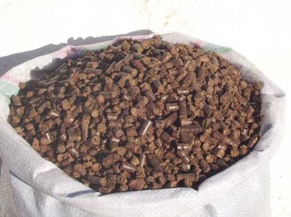 PELLET POMACE 3